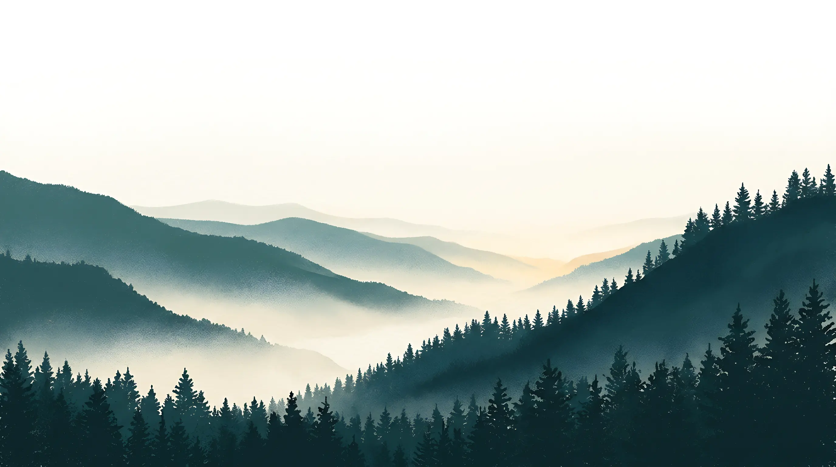 Misty mountains and forest at dawn